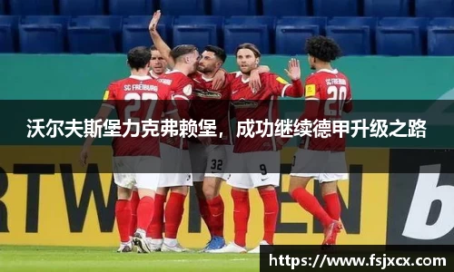 沃尔夫斯堡力克弗赖堡，成功继续德甲升级之路