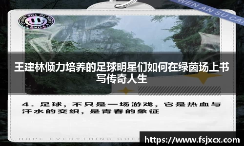 王建林倾力培养的足球明星们如何在绿茵场上书写传奇人生